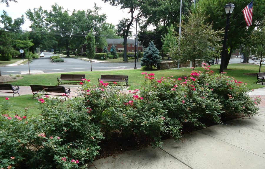 Parc commémoratif avec des fleurs faisant face à Springfield Avenue à New Providence, New Jersey