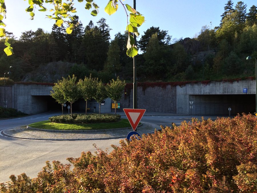 Forêt de Baneheia à Kristiansand, Norvège