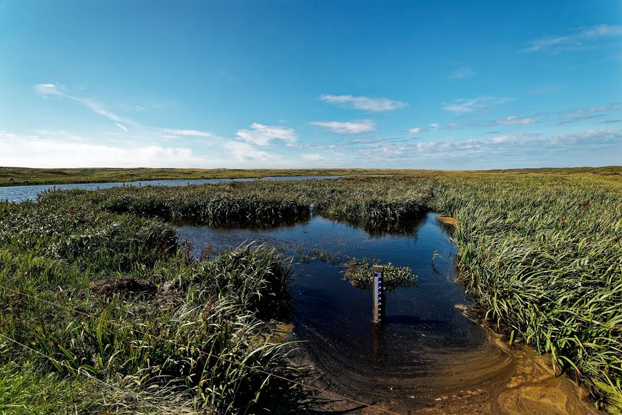 Paysage de dunes dans la réserve naturelle De Bollekamer sur Texel