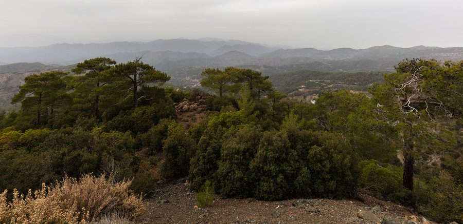 Vaste panorama sur les montagnes boisées du massif du Troodos à Chypre.