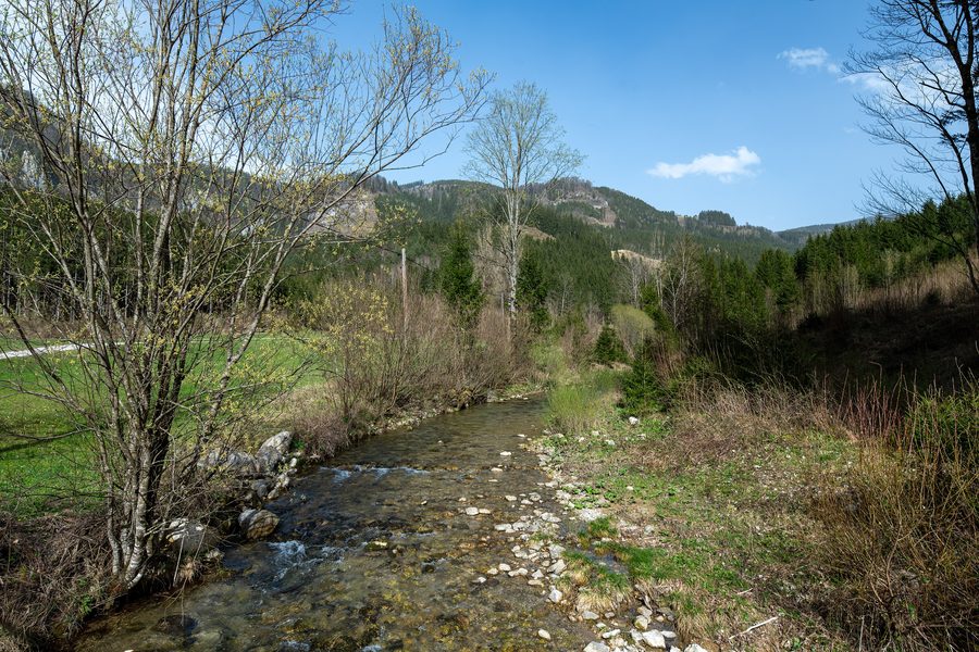 Angerbach dans le hameau dispersé d’Erlaufboden
