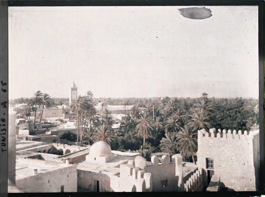 Palmiers-dattiers et verdure de l’oasis à Gafsa.