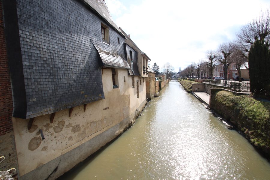Rive de l’Anille à Saint-Calais, France