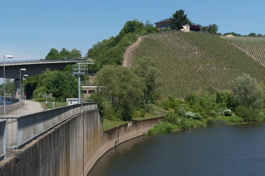 Vignobles près du barrage à Schoden