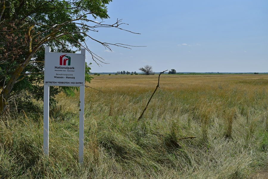 Paysage ouvert de la zone de préservation Waasen-Hanság dans le parc national du Lac de Neusiedl–Seewinkel