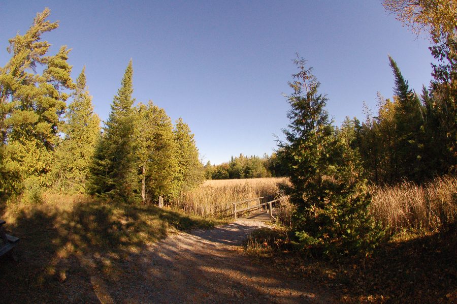 Paysage à Kawartha Lakes, Ontario, Canada