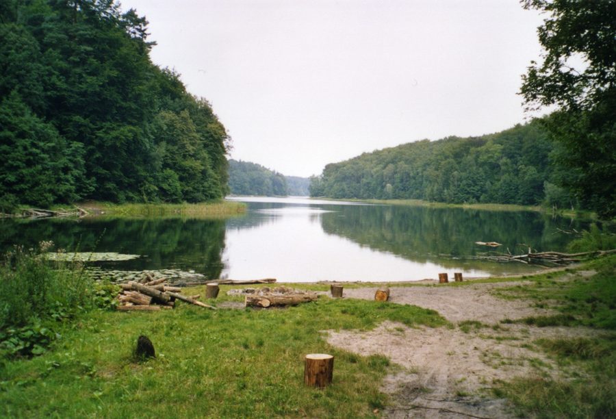 Gamensee dans le Gamengrund riche en lacs avec rive boisée