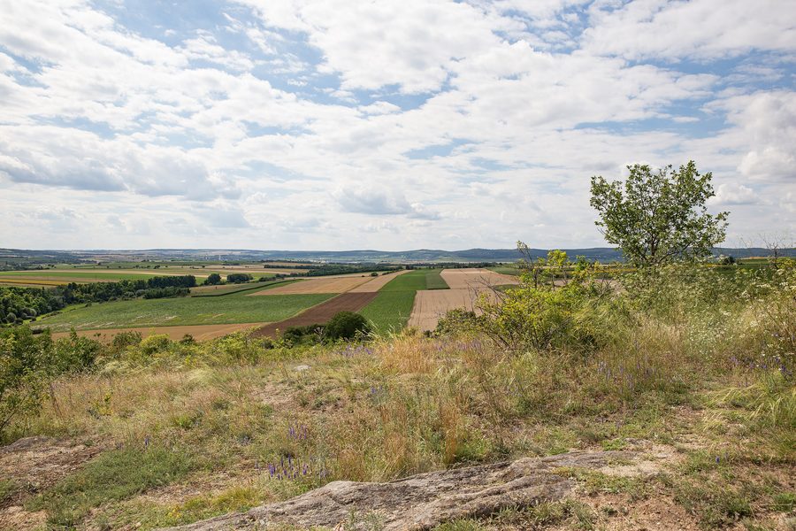 Vue panoramique de Pulkau depuis l’Altenberg dans le Weinviertel