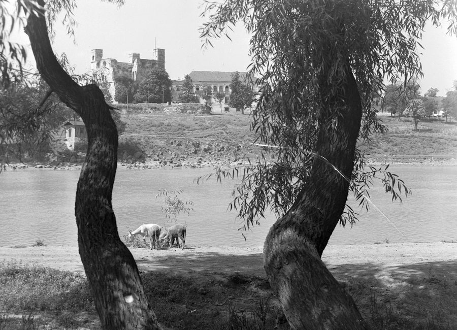 Vue de Sárospatak depuis la rive gauche du Bodrog, avec le château Rákóczi visible