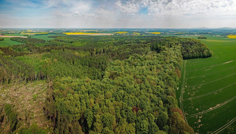 Vue aérienne de la forêt de Taucherwald près de Burkau en Saxe