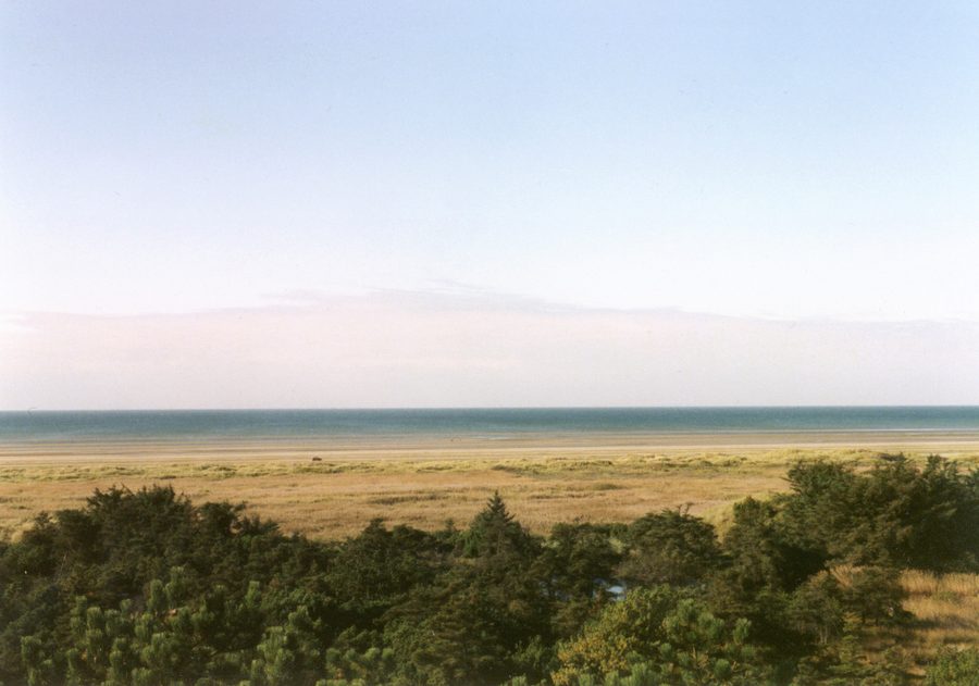 Plage et dunes sur la côte ouest de Fanø