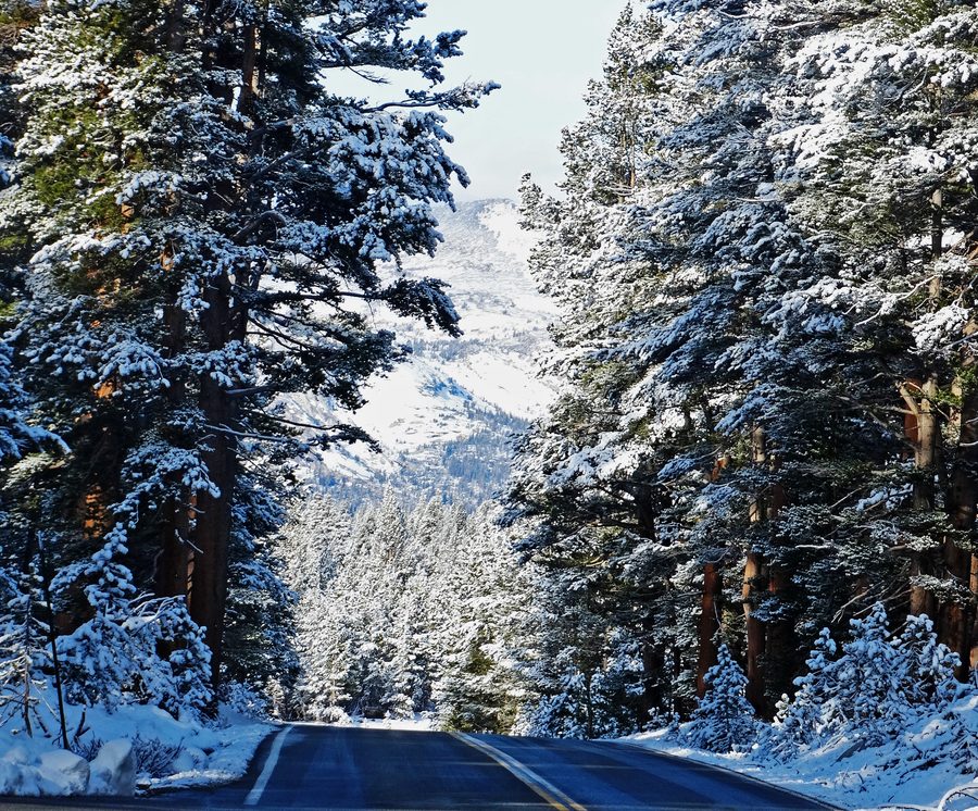Route de montagne enneigée sur l’accès au col de Tioga dans la région de Yosemite.