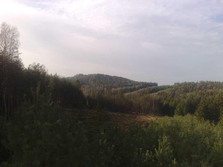 Vue sur le Konesův vrch dans le cadastre de Hůrky u Rokycan
