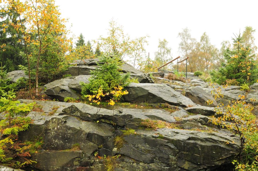 Rocher de quartzite au Wendelstein près de Grünbach dans le Vogtland