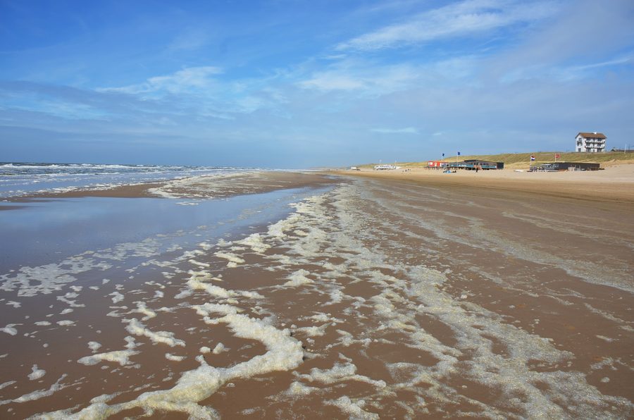 Plage de la mer du Nord à Bergen aan Zee avec des pavillons de plage