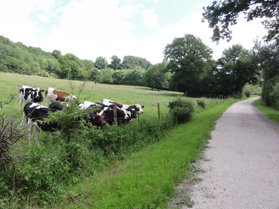 Paysage rural de la Thiérache près de Gergny dans le département de l’Aisne