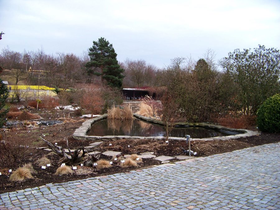 Étang dans le jardin botanique de Teplice