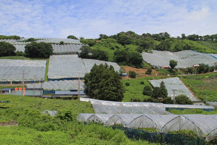 Paysage rural près d'Akayu à Nan'yō, préfecture de Yamagata