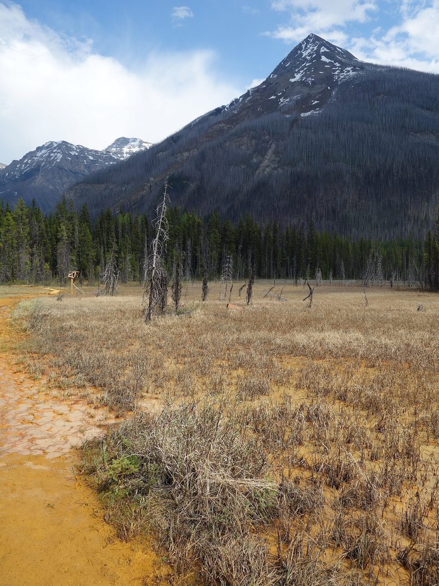 Sources minérales Paint Pots dans le parc national Kootenay