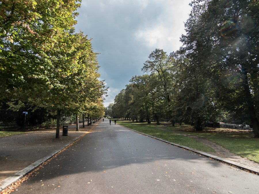 Allée bordée d’arbres dans Victoria Park à Hackney, Londres