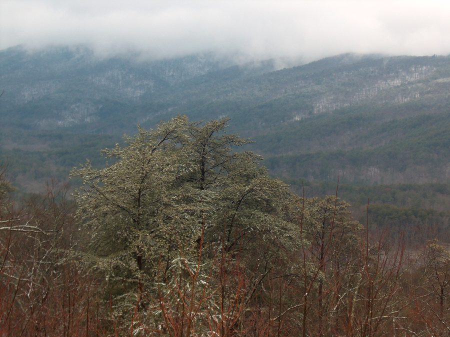 Mount Cheaha dans la neige, Alabama