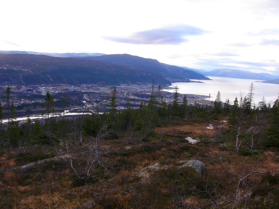 Mo i Rana et le Ranfjord, vus depuis Kvitbergan à Selfors