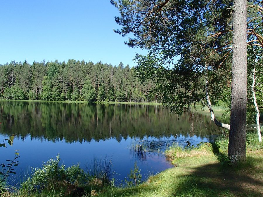 Lac Suķieris dans la paroisse d’Ērģeme, Lettonie