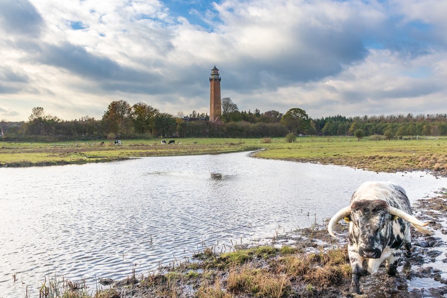 Phare de Neuland sur la côte de la mer Baltique près de Behrensdorf