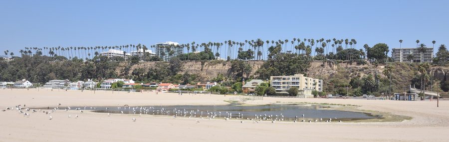 Santa Monica State Beach avec des mouettes à l'ouest et vue le long de la côte Pacifique