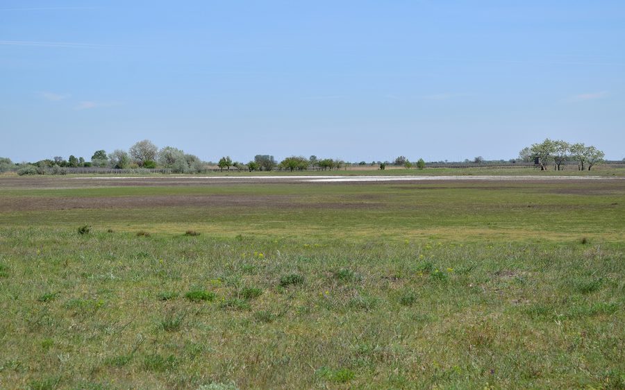 Albersee dans le parc national Neusiedler See-Seewinkel avec un paysage de prairies ouvertes
