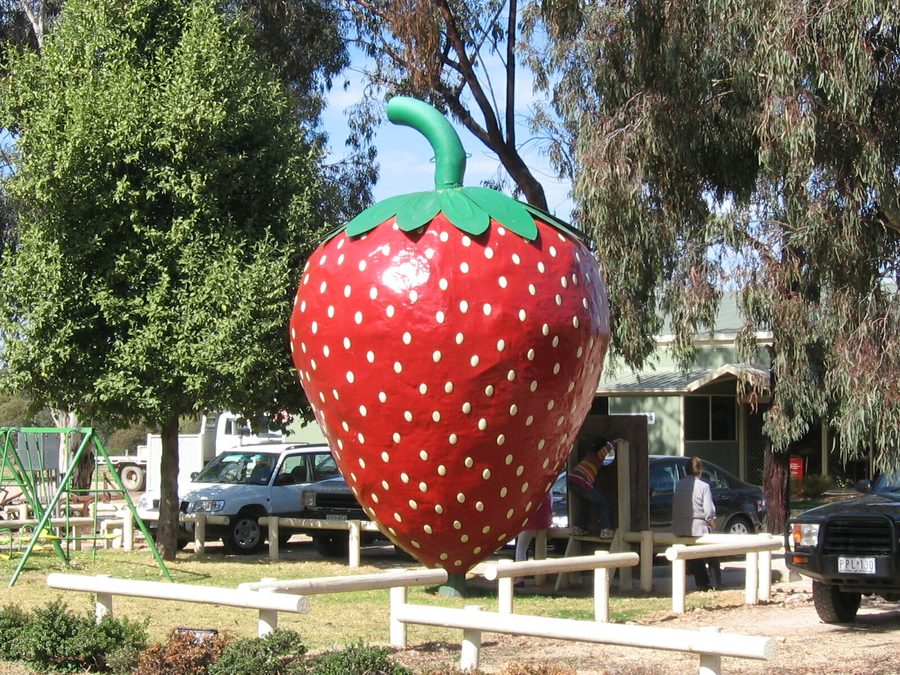 La Big Strawberry à Koonoomoo, Victoria