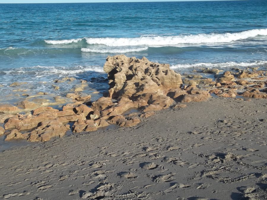 Plage au Coral Cove Park à Jupiter, Floride