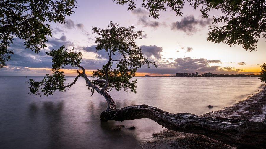 Paysage côtier à Key Biscayne avec plage, mer, arbres et ciel de coucher de soleil
