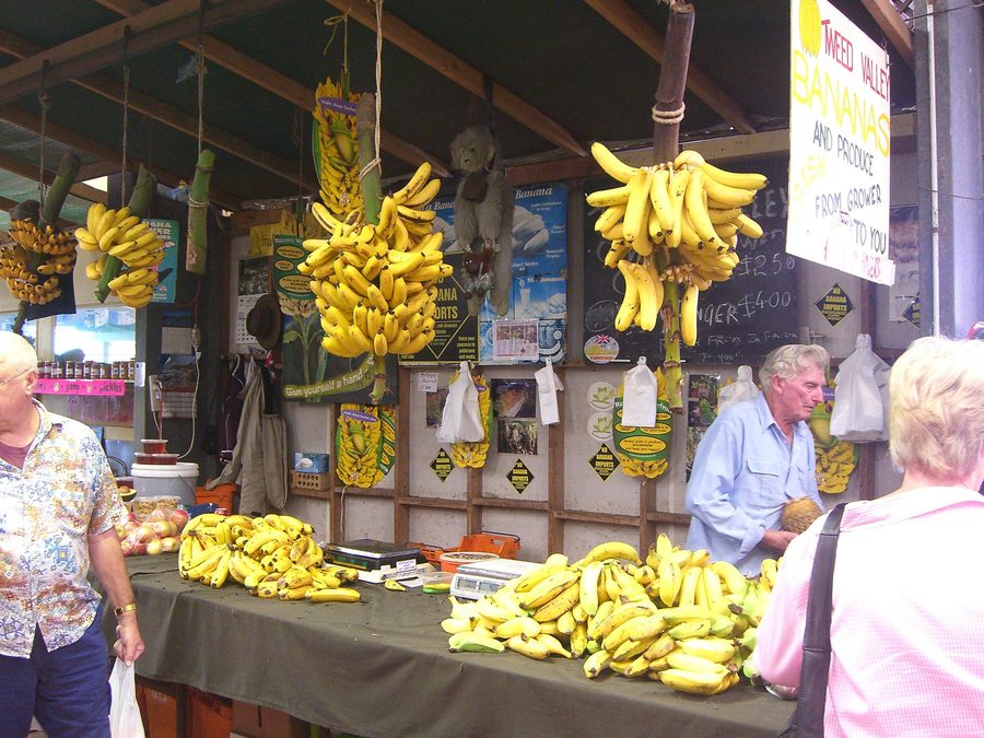 Bananes sur un marché à Carrara, sur la Gold Coast