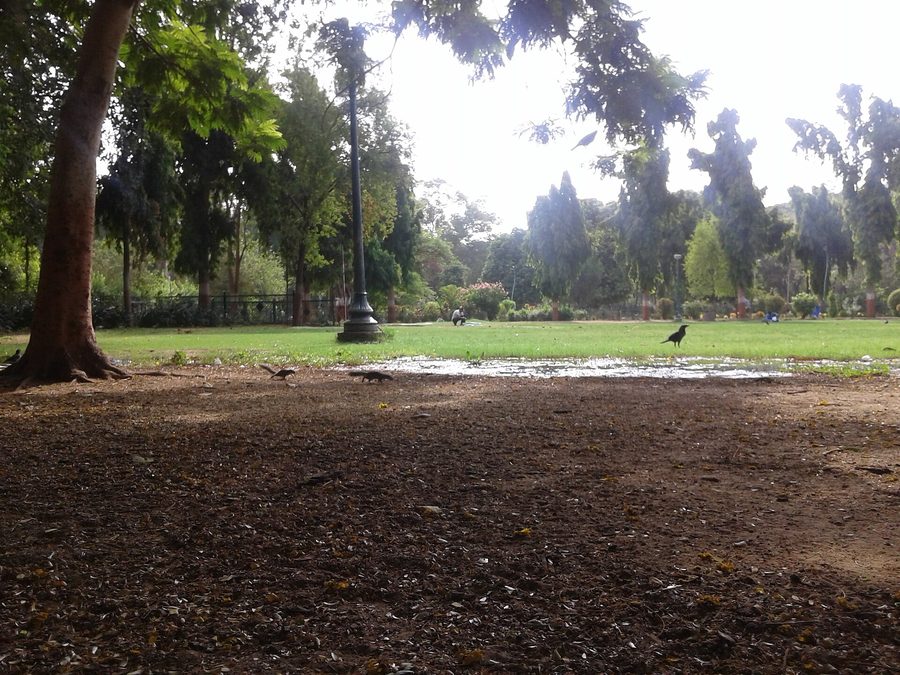 Sayaji Baug, également connu sous le nom de Kamati Baug, à Vadodara