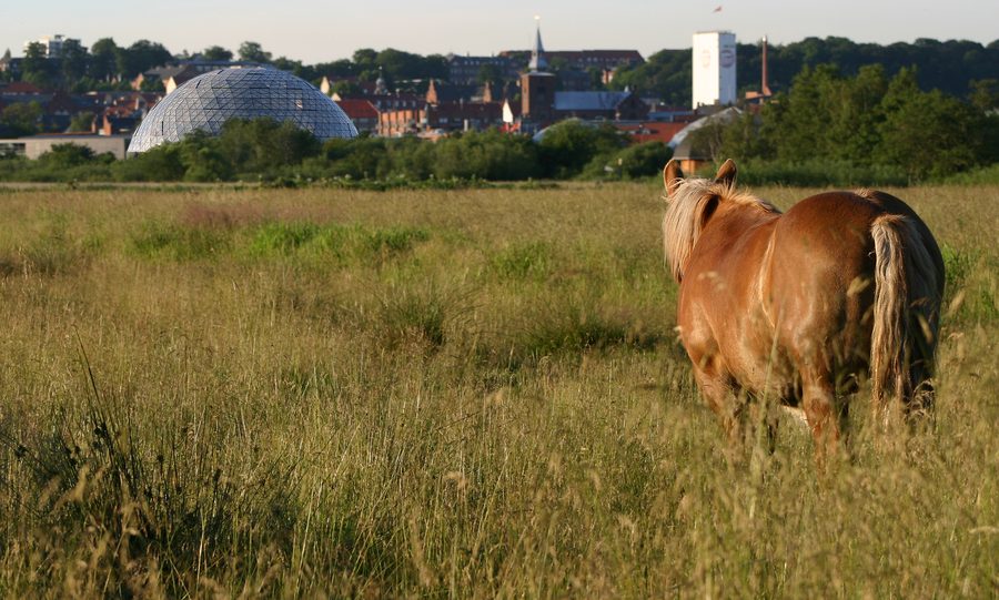 Randers Regnskov avec les grandes coupoles du zoo tropical
