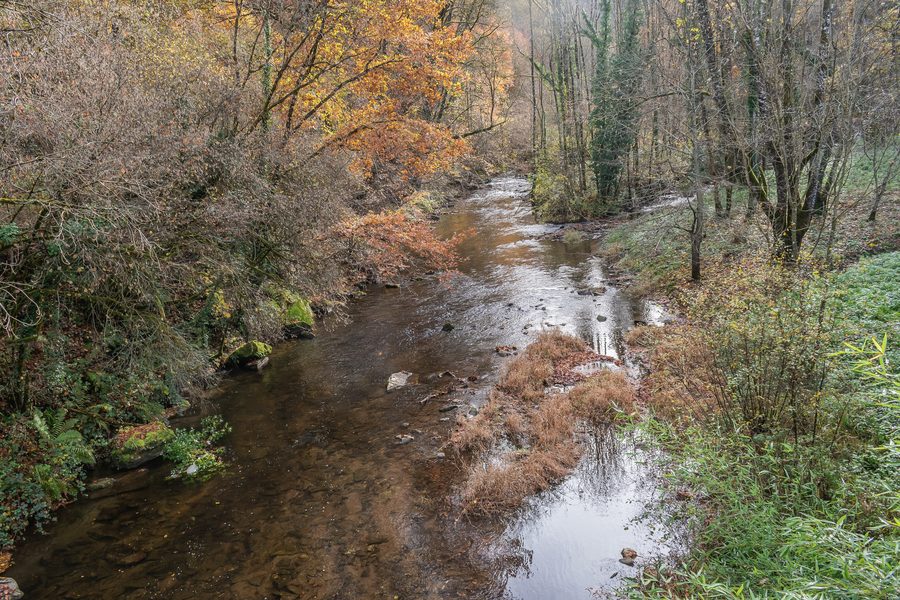 Rivière Viaur à Moulin d'Ayres, entre Centrès et Sainte-Juliette-sur-Viaur, Aveyron, France