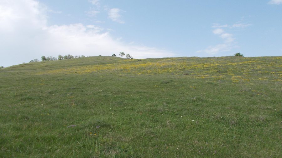 Géoparc des dinosaures de la région de Hațeg en Roumanie