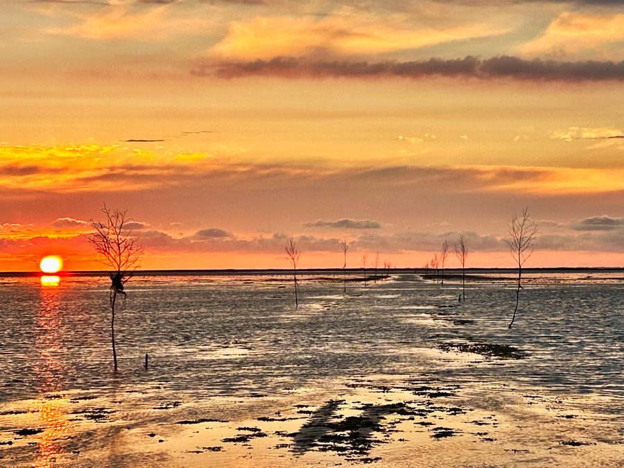 Coucher de soleil sur la mer des Wadden danoise
