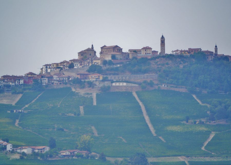 Paysage vallonné des Langhe entre Monforte d’Alba et La Morra dans la province de Cuneo