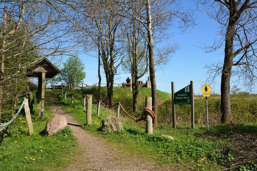 Paysage dans le Wildes Moor en Schleswig-Holstein