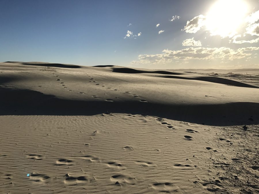 Dunes de sable près d’Anna Bay, non loin de Port Stephens, en Nouvelle-Galles du Sud