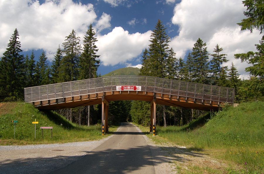 Passerelle de ski de fond dans le paysage hivernal de Hohentauern