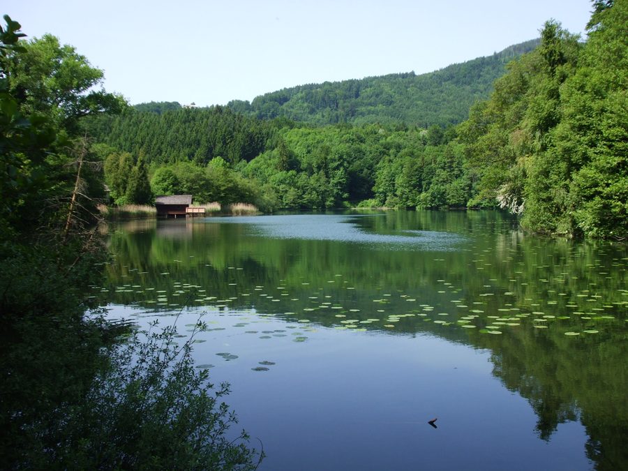 Lac Höglwörther près d’Anger en Bavière