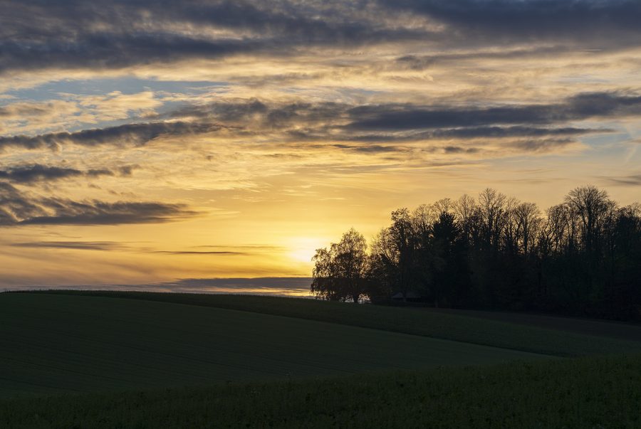 Lisière de forêt près d’un abri dans le Dornet à Untereisesheim, peu avant le coucher du soleil