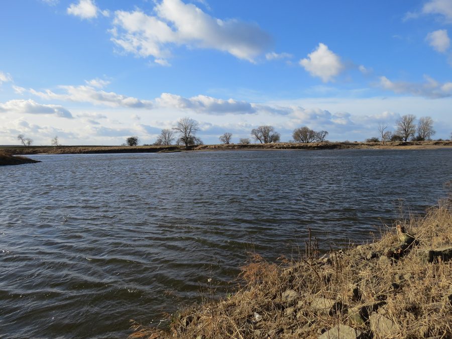 L’Elbe près de Prettin