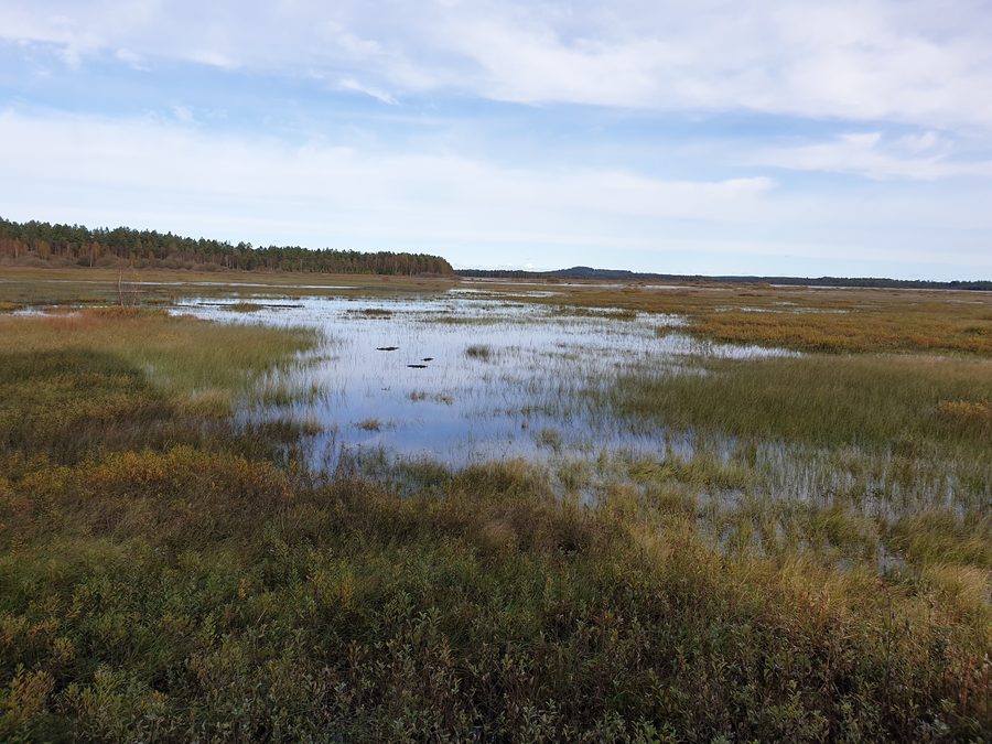 Vue depuis la tour d’observation sur le Kävsjön dans le parc national de Store Mosse