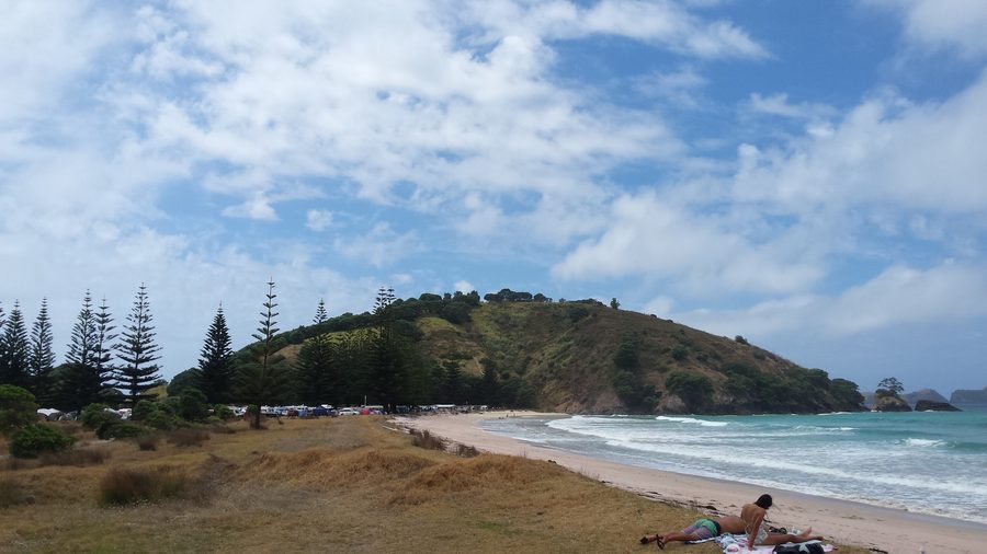 Vue depuis le milieu de la plage vers le nord au-dessus de Matauri Bay