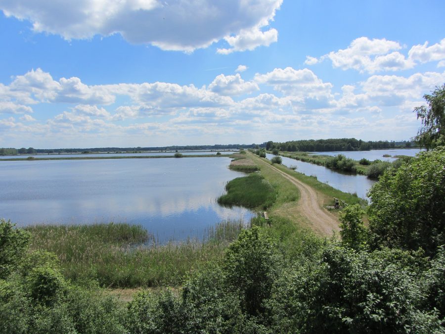 Vue sur les étangs et la voie navigable Müritz-Elde dans la Lewitz près de Neustadt-Glewe