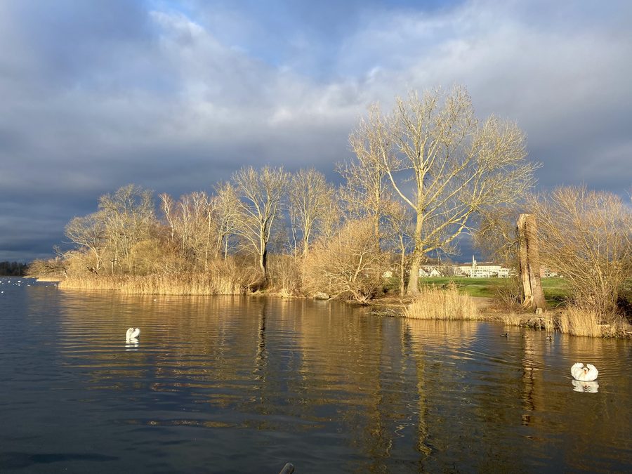 Greifensee dans le canton de Zurich